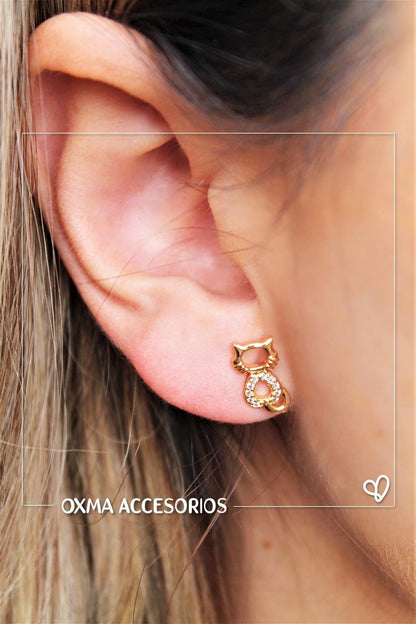 topos gatos microcircones