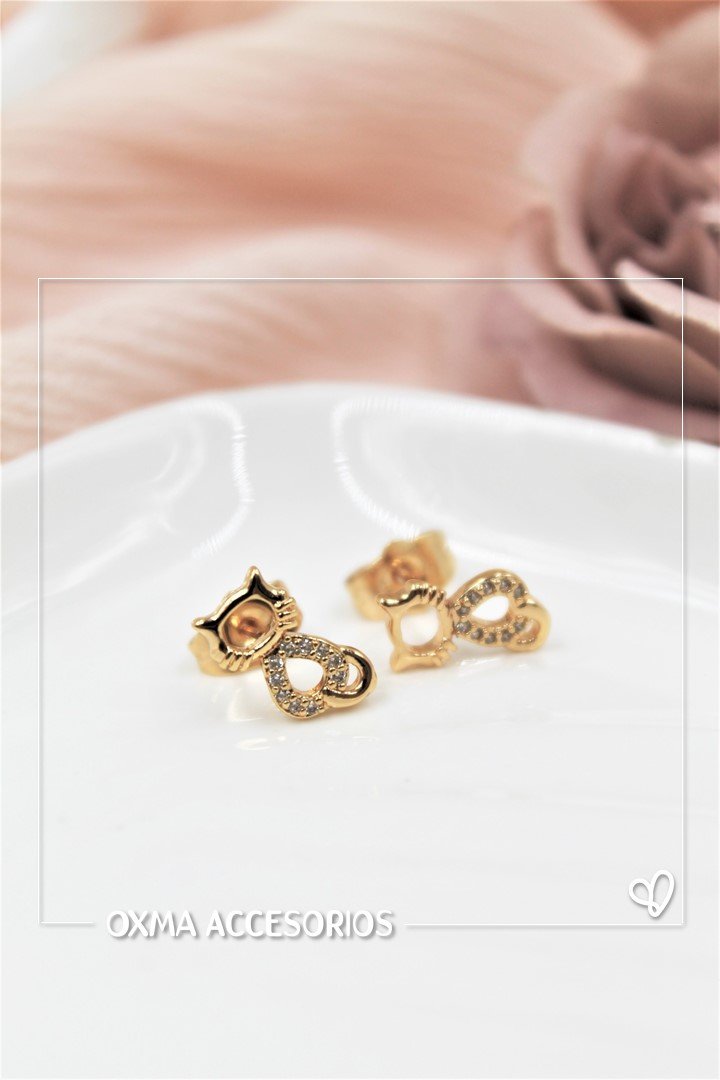 topos gatos microcircones