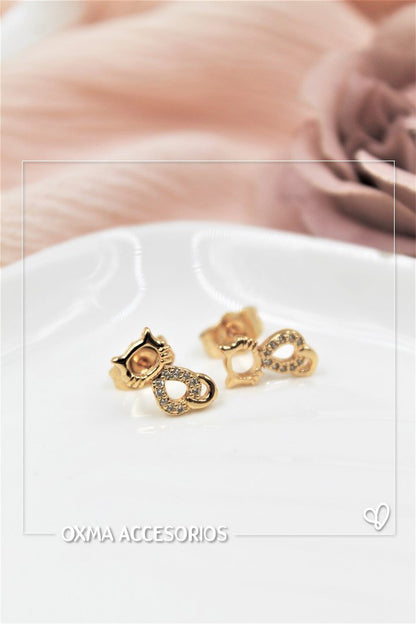 topos gatos microcircones