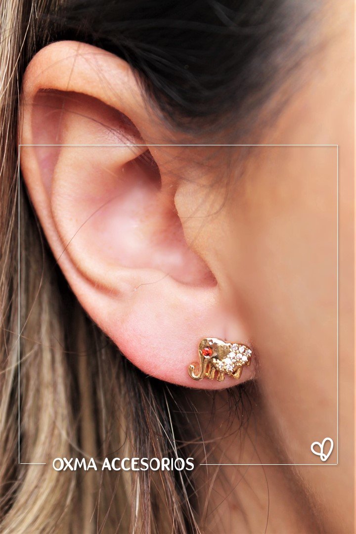 topos elefantes microcircones